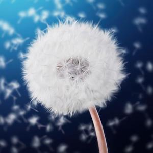 用户6556724768441蒲头像