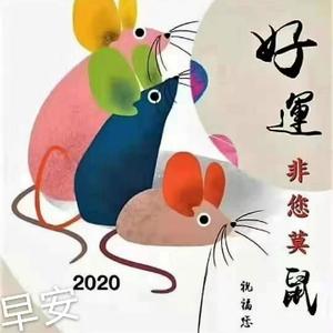 运筹帷幄凤舞九天头像
