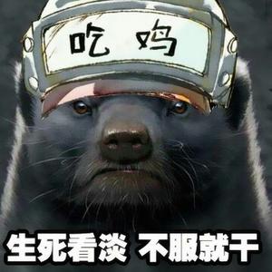 蜜獾粉之蜜獾超帅头像