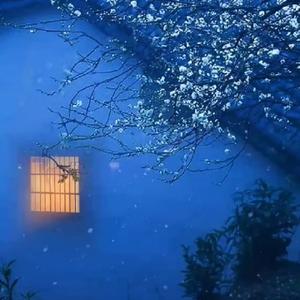 雨夜的港湾头像