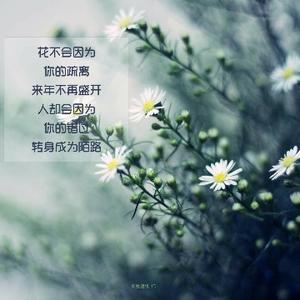 爱生活的花猫Zb头像