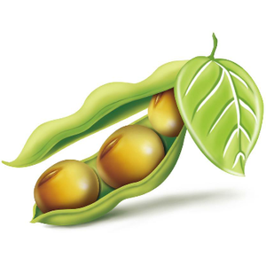 豆荚电影头像