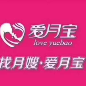 保定爱月宝侯老师头像