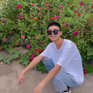 大流量卡头像