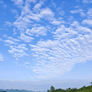 淘淘静谧头像