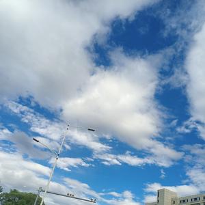 刘大掌柜头像