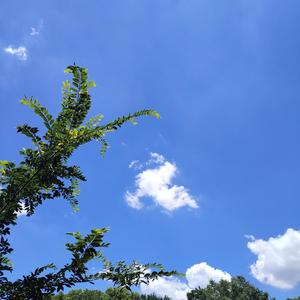 老one头像