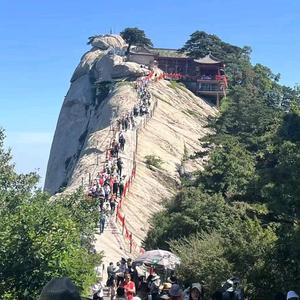 平平无奇（短剧）HY头像