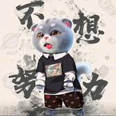 悠闲弗朗西斯0j9头像
