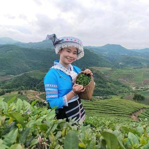海葩妹茶业头像
