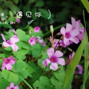 兜兜里有糖头像