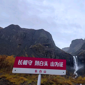 强哥说头像