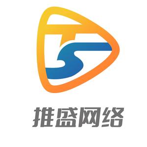 推盛网络头像