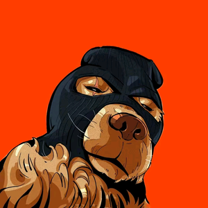 小刘是一个摄象师 头像