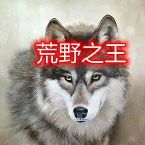 荒野之王头像