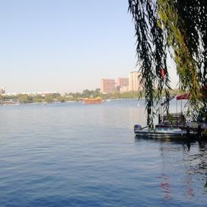 沉默是金吃亏是福头像