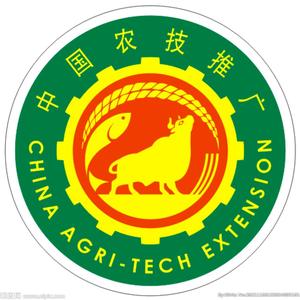 自若水滴N头像