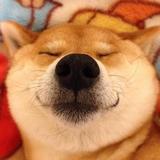 DDD喂头像