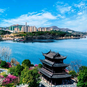 巴陵岳州府赛平头像
