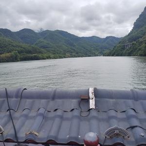 浮云尘土头像
