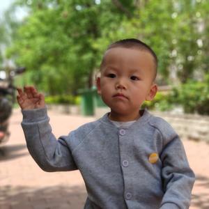 厨房大使就是我头像