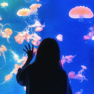 橙之旅头像