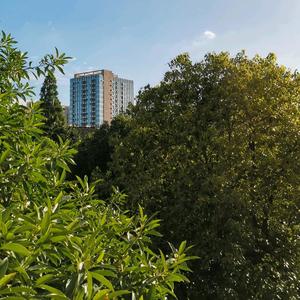 紫紫布头像