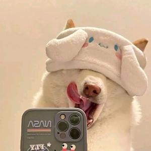 柏白白啊头像