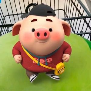 无敌猪小屁头像