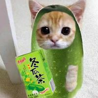 宇宙第一超级无敌战神暴龙战士头像