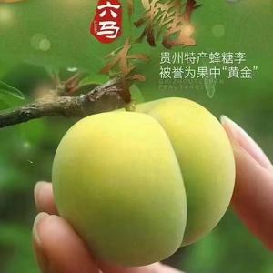 李子界的爱马仕头像