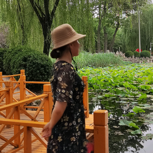 侯姐爱生活头像