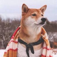 博学霸州6j头像