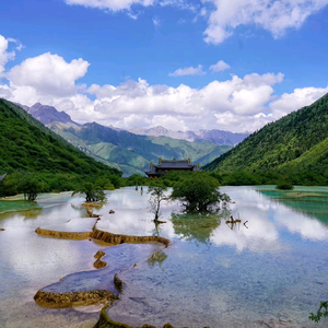 墨羽尘曦头像