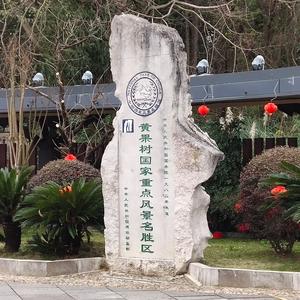 时来运转763(财)头像