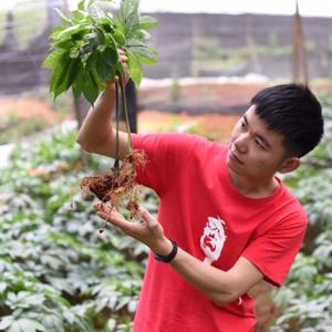 龚波波头像