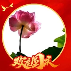淡荷香韵头像