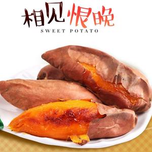 正宗山东烟薯供应商头像