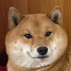 大力的小三宝头像