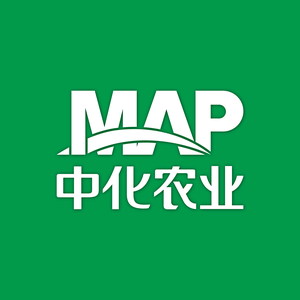 MAP_2020头像