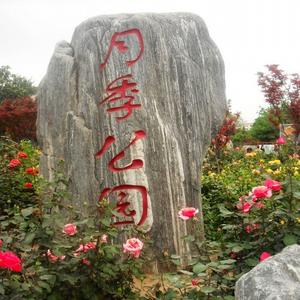 一江两岸头像