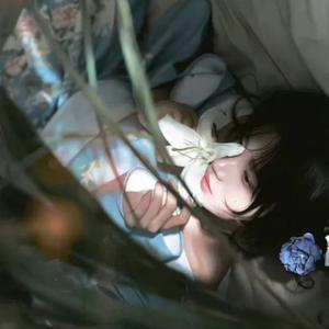 林宝头像