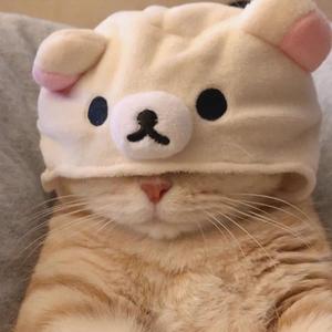 L'头像