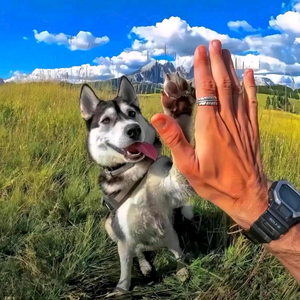 上上签®头像