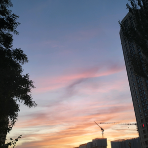 阿柱头像