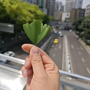 我姓游我温柔头像