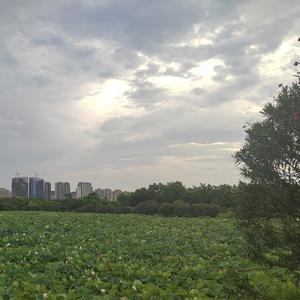暖阳初心不变头像