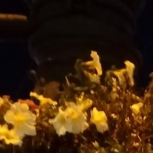 难难难以消除头像