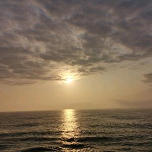 于海为伴头像