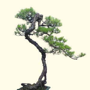 贤和堂头像